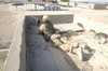 A British Army soldier provides security from a rooftop in Basra, Iraq Poster Print - Item # VARPSTACH100110M