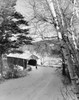 Snow covered road leading towards a covered bridge Poster Print - Item # VARSAL25536079