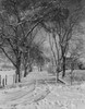 USA  Colorado  Winter road scene Poster Print - Item # VARSAL255423088