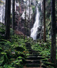 http://c328301.r1.cf1.rackcdn.com/PPI153864S.jpg