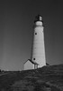 USA  Massachusetts  Boston  Lighthouse Poster Print - Item # VARSAL255423885