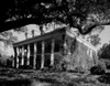 USA  Louisiana  Plantation Home built in 1836 Poster Print - Item # VARSAL255420741