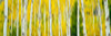 http://c328301.r1.cf1.rackcdn.com/PPI166414S.jpg