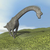 Brachiosaurus dinosaur walking on the grass Poster Print - Item # VARPSTEDV600154P