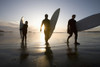 Silhouette Of Three Surfers Carrying Surfboards; Chesterman Beach Tofino Vancouver Island British Columbia Canada PosterPrint - Item # VARDPI1938895