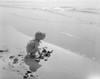Little girl digging in sand on beach Poster Print - Item # VARSAL255424521