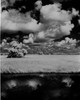 USA  Florida  Everglades National Park  Clouds reflecting in swamp Poster Print - Item # VARSAL255423417