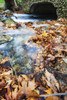 http://c328301.r1.cf1.rackcdn.com/DPI12286704LARGE.jpg