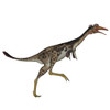 Mononykus dinosaur, white background Poster Print - Item # VARPSTEDV600194P