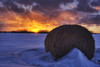 Hay Bale On Field With Sunset, Namao, Alberta PosterPrint - Item # VARDPI2035466