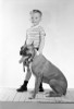 Boy holding boxer dog  studio shot Poster Print - Item # VARSAL255416922