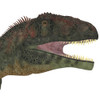 Mapusaurus dinosaur head. Mapusaurus was a giant carnivorous theropod dinosaur that lived during the Cretaceous Period of Argentina Poster Print - Item # VARPSTCFR200476P