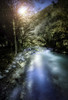 A river in a forest at sunset, Ritsa Nature Reserve, Abkhazia, Georgia Poster Print - Item # VARPSTEVK200192S