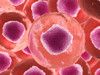 Microscopic view of animal cell Poster Print - Item # VARPSTSTK700855H