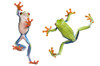 Two Red Eyed Tree Frogs PosterPrint - Item # VARDPI1820122
