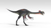 Gigantoraptor dinosaur, white background Poster Print - Item # VARPSTKVA600743P
