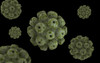 Conceptual image of polyomavirus Poster Print - Item # VARPSTSTK700773H
