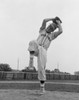 Boy playing baseball ready to throwing ball Poster Print - Item # VARSAL255419305