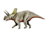 Arrhinoceratops is a ceratopsian dinosaur from the Cretaceous Period Poster Print - Item # VARPSTNBT600072P