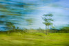 Costa Rica; Blurred Countryside PosterPrint - Item # VARDPI1852283