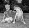 Portrait of boy with boxer dog Poster Print - Item # VARSAL255421053