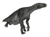 Iguanodon dinosaur running, white background Poster Print - Item # VARPSTEDV600346P