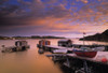 Dock At Sunset, Durrell, Newfoundland & Labrador PosterPrint - Item # VARDPI2021834