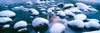 http://c328301.r1.cf1.rackcdn.com/PPI160388L.jpg