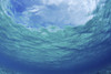 Underwater Ocean Looking Upward To Surface, Blue Sky Reflection PosterPrint - Item # VARDPI2001091