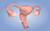 Conceptual image of female reproductive organ Poster Print - Item # VARPSTSTK700067H