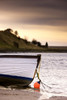 Boat On Seashore, Alnmouth, Northumberland, England PosterPrint - Item # VARDPI1847335