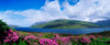 Killary Harbour, County Galway, Ireland; Harbour Scenic With Wildflowers PosterPrint - Item # VARDPI1813279