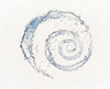 Spiral of water drops with white background Poster Print by Panoramic Images (36 x 30) - Item # PPI118024