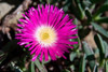 http://c328301.r1.cf1.rackcdn.com/PDDAF42RBE0054B.jpg