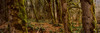 http://c328301.r1.cf1.rackcdn.com/PPI148048S.jpg