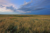 Dusk At Grasslands National Park, Saskatchewan PosterPrint - Item # VARDPI2032381