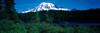 http://c328301.r1.cf1.rackcdn.com/PPI46180S.jpg