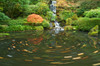 http://c328301.r1.cf1.rackcdn.com/DPI1832963LARGE.jpg