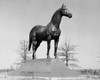 Statue of a horse  Man o' War  Kentucky Horse Park  Lexington  Kentucky  USA Poster Print - Item # VARSAL25532579