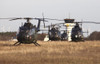 German Army Bo-105 helicopters during Exercise Bora 2011 on the ex-soviet airfield of Stendal, Germany Poster Print - Item # VARPSTTZG100032M