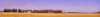 Farm Scene North Of Calgary, Alberta PosterPrint - Item # VARDPI1805569