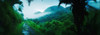 Rainforest in Cayo District  Belize Poster Print by Panoramic Images (34 x 12) - Item # PPI118698