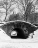 Footbridge covered with snow  Central Park  Manhattan  New York City  New York  USA Poster Print - Item # VARSAL25545327