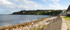 View of a suburb, Howth, Dublin Bay, Dublin, Leinster Province, Republic of Ireland Poster Print - Item # VARPPI148348