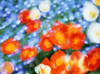 Kaleidoscopic flowers in blues  orange and white Poster Print by Panoramic Images (24 x 18) - Item # PPI117881
