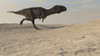 Majungasaurus running across a barren desert Poster Print - Item # VARPSTKVA600100P