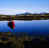 Roundstone, Connemara, County Galway, Ireland; Rowboat On Lake PosterPrint - Item # VARDPI1812449