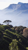 Sunrise Over The Majestic Western Ghats And The Theni Valley, Top Station, Kerala, India PosterPrint - Item # VARDPI2189494