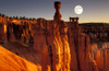 Bryce Canyon National ParkUtah USA Poster Print - Item # VARPPI66266