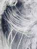 March 4, 2009 - Ship tracks the northern Pacific Ocean. Poster Print - Item # VARPSTSTK202565S